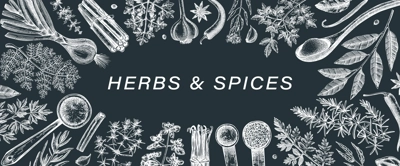 Hand drawn herbs and spices vector banner. Hand sketched food illustration on chalkboard. Vintage aromatic plants hand-drawing. Sketched style. Kitchen spice and herbs black and white design